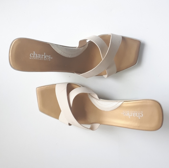 🎈HOST PICK🎈Charles by Charles David | NWOT Wedge Platform Sandals - Picture 5 of 14